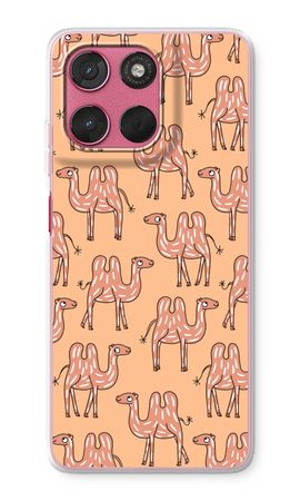 Camel