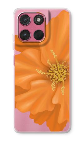 Orange Ellila flower