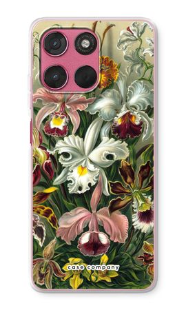 Haeckel Orchidae