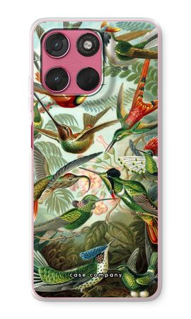Haeckel Trochilidae