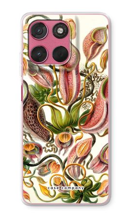 Haeckel Nepenthaceae