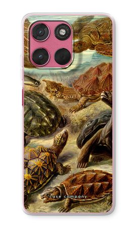Haeckel Chelonia