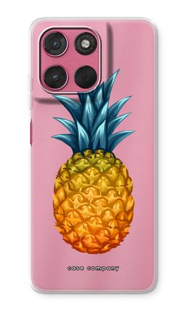 Big pineapple