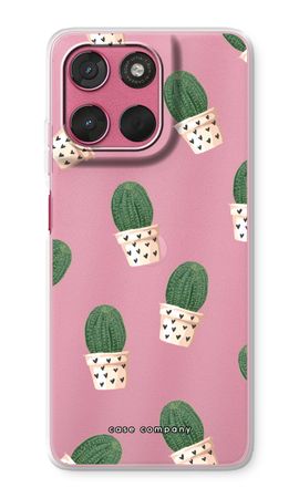 Cactus rose