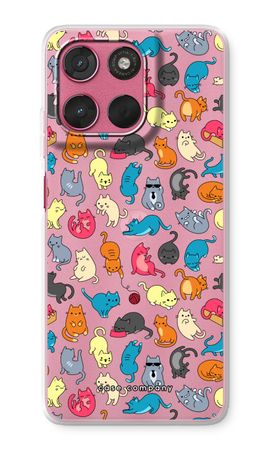 Colourful cats