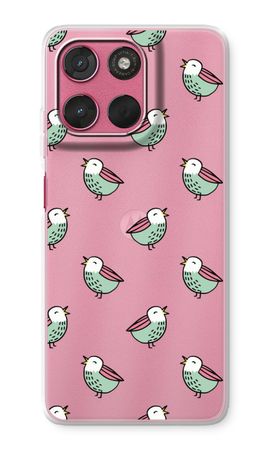 Little birds