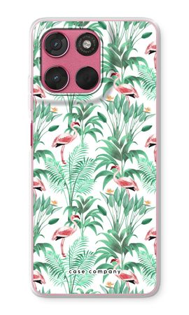 Flamingo leaves