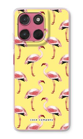 Flamingos yellow
