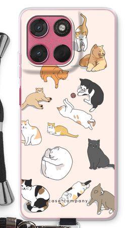Cats