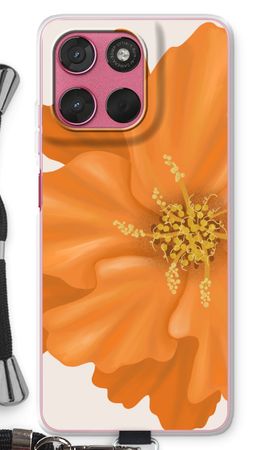 Orange Ellila flower