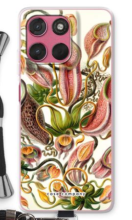 Haeckel Nepenthaceae