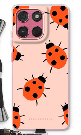 Ladybugs