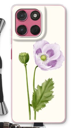Purple poppy