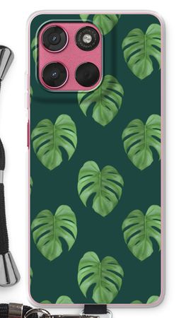 Monstera leaves