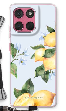 Orchard Sun