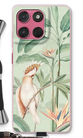 Tropical Parrot