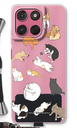 Cats