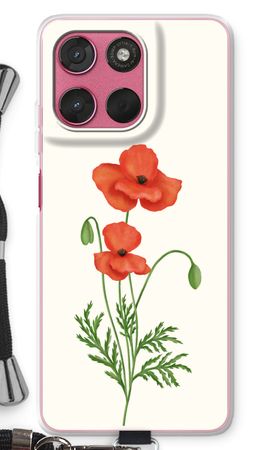 Red poppy