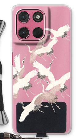Japanese Crane Birds