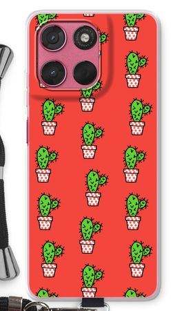 Mini cactus
