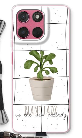 Houseplant on windowpane