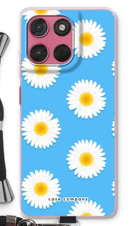 Daisies