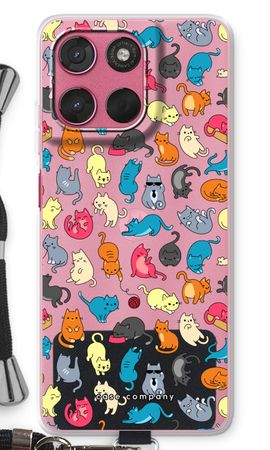 Colourful cats