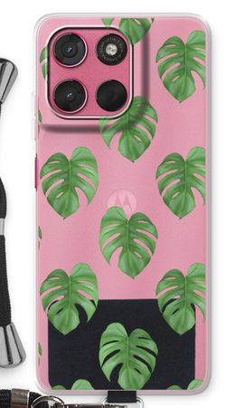 Monstera leaves
