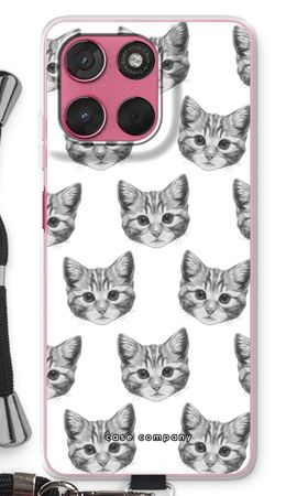 Kitten