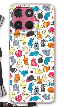 Colourful cats
