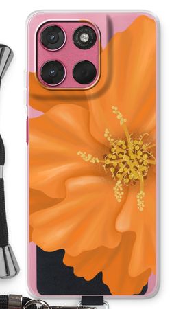 Orange Ellila flower