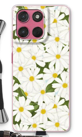 Summer Daisies