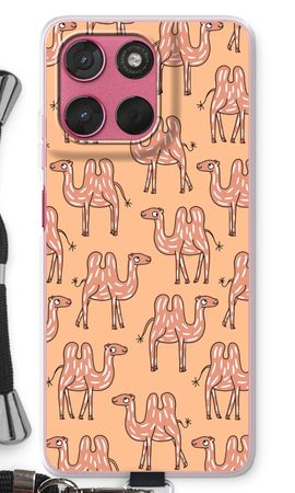 Camel