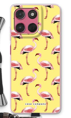 Flamingos yellow