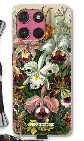Haeckel Orchidae