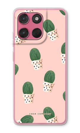 Cactus rose