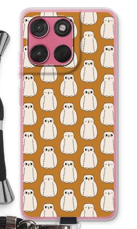Owls