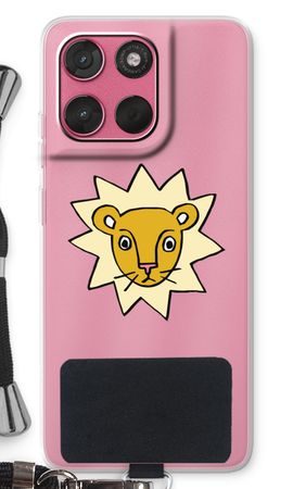 Little lion