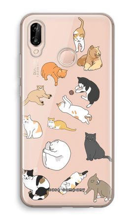 Cats