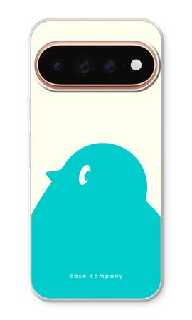 BIG Robin 1