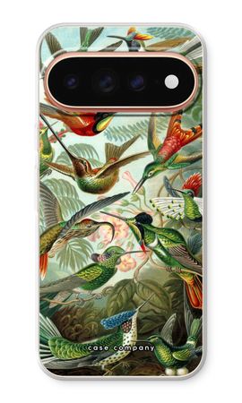 Haeckel Trochilidae