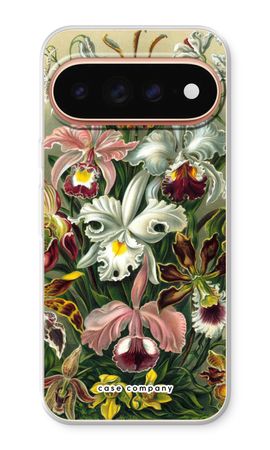 Haeckel Orchidae