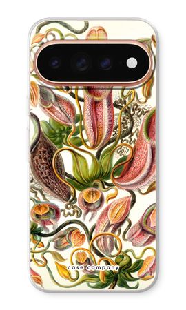 Haeckel Nepenthaceae