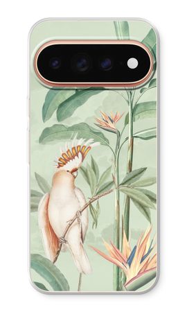 Tropical Parrot