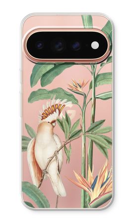 Tropical Parrot