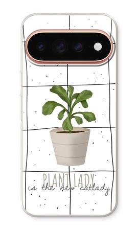 Houseplant on windowpane
