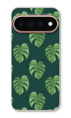Monstera leaves