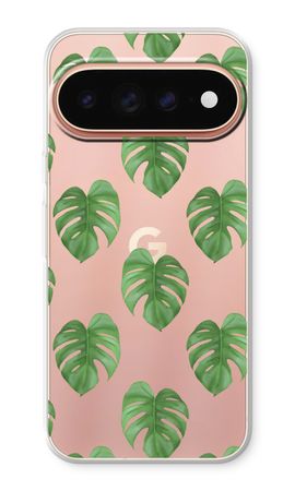 Monstera leaves