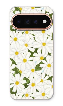 Summer Daisies