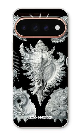 Haeckel Prosobranchia